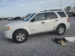 Salvage cars for sale at Riverview, FL auction: 2010 Ford Escape Hybrid