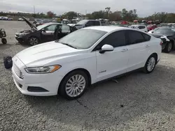 Ford Fusion s Hybrid salvage cars for sale: 2015 Ford Fusion S Hybrid