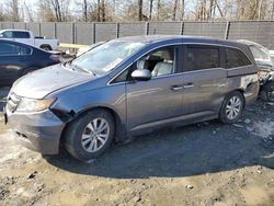 Honda Odyssey exl salvage cars for sale: 2014 Honda Odyssey EXL