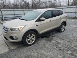 Ford salvage cars for sale: 2017 Ford Escape SE