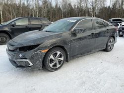 Honda Civic lx Vehiculos salvage en venta: 2020 Honda Civic LX