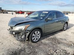 Salvage cars for sale at New Braunfels, TX auction: 2010 Honda Accord EXL