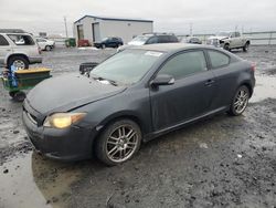 Salvage cars for sale at Airway Heights, WA auction: 2005 Scion TC