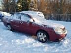 2005 Chevrolet Malibu LT