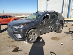 Salvage cars for sale at Albuquerque, NM auction: 2020 Toyota Rav4 Limited