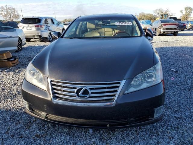 2010 Lexus ES 350