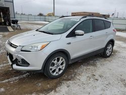 Ford salvage cars for sale: 2013 Ford Escape SEL