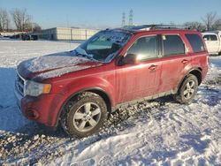 Salvage Cars with No Bids Yet For Sale at auction: 2011 Ford Escape Limited