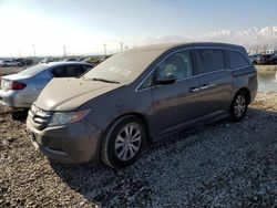 Honda Vehiculos salvage en venta: 2016 Honda Odyssey EXL