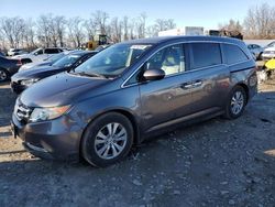 Salvage cars for sale at Baltimore, MD auction: 2015 Honda Odyssey EXL