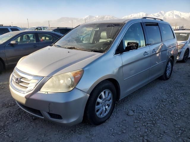 2008 Honda Odyssey EXL