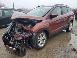 Salvage cars for sale at Indianapolis, IN auction: 2018 Ford Escape SE