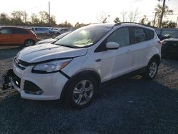 Salvage cars for sale at Riverview, FL auction: 2016 Ford Escape SE