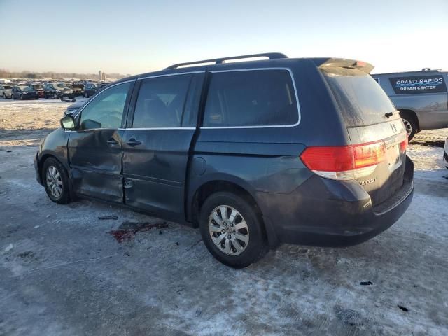 2010 Honda Odyssey EXL