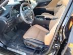 2024 Lexus ES 300H Base