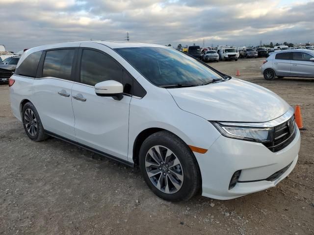 2024 Honda Odyssey EXL