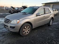 Salvage cars for sale at Eugene, OR auction: 2006 Mercedes-Benz ML 350