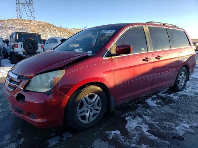 2005 Honda Odyssey EXL