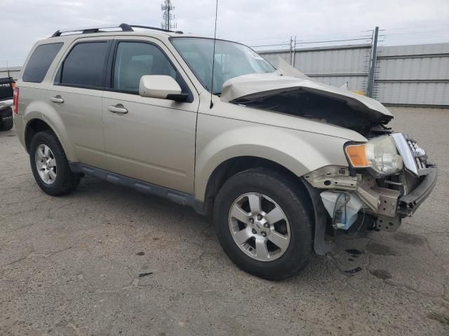 2010 Ford Escape Limited