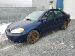 Salvage cars for sale at Elmsdale, NS auction: 2007 Toyota Corolla CE