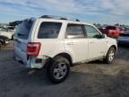 2008 Ford Escape HEV