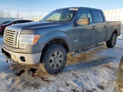 Ford f150 Supercrew salvage cars for sale: 2012 Ford F150 Supercrew