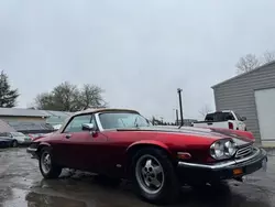 Salvage cars for sale at Portland, OR auction: 1988 Jaguar XJS