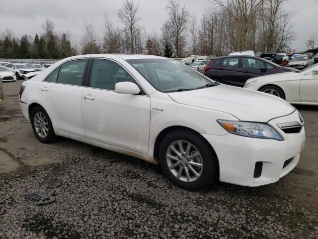 2010 Toyota Camry Hybrid