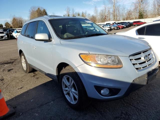 2010 Hyundai Santa FE SE