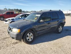 2001 Ford Escape XLT en venta en Harleyville, SC