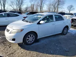 Toyota Corolla Base salvage cars for sale: 2009 Toyota Corolla Base