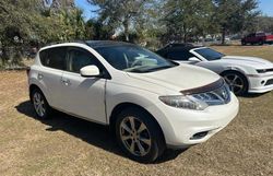 Salvage cars for sale at Ocala, FL auction: 2014 Nissan Murano S