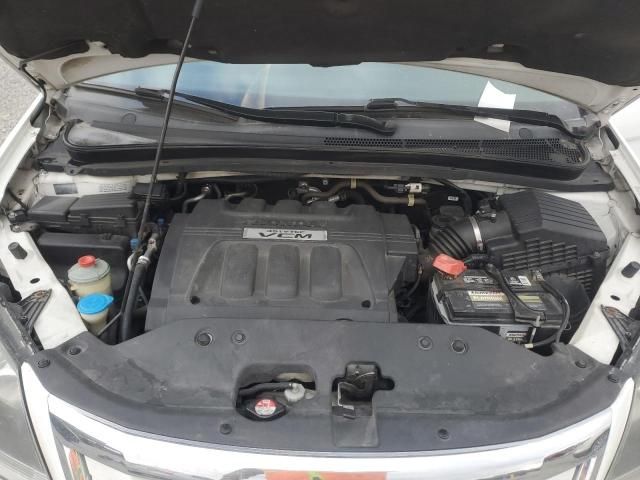 2008 Honda Odyssey EXL