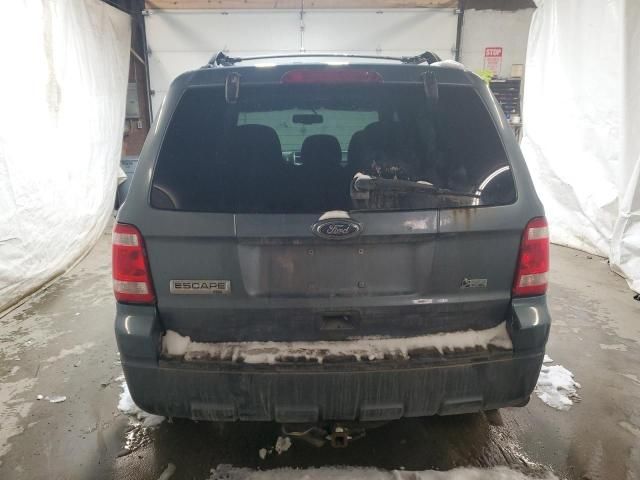 2010 Ford Escape XLT