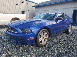 Salvage cars for sale at Mebane, NC auction: 2013 Ford Mustang