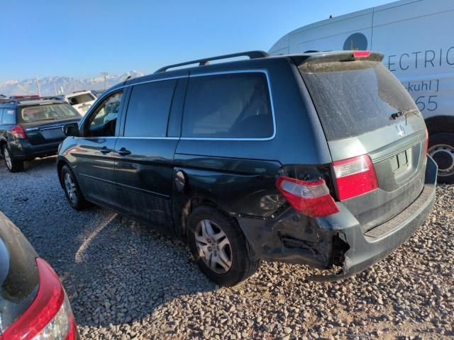 2005 Honda Odyssey EXL