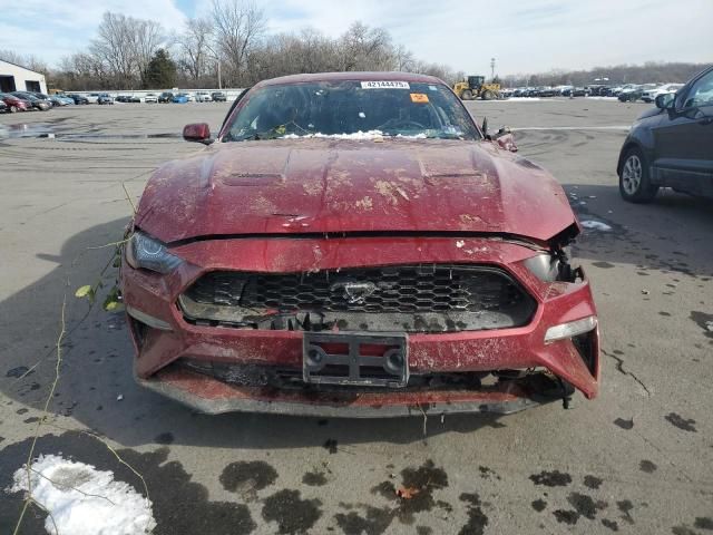 2019 Ford Mustang