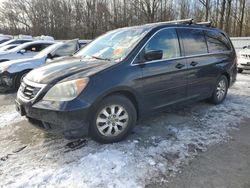 Salvage cars for sale at Glassboro, NJ auction: 2009 Honda Odyssey EXL