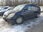 2009 Honda Odyssey EXL