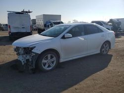 Salvage cars for sale at Bakersfield, CA auction: 2014 Toyota Camry L