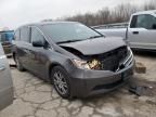 2013 Honda Odyssey EXL