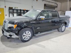 Salvage trucks for sale at Candia, NH auction: 2011 Ford F150 Supercrew