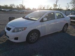 Toyota Corolla Base salvage cars for sale: 2009 Toyota Corolla Base