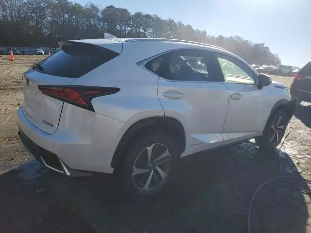 2020 Lexus NX 300H