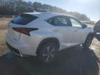 2020 Lexus NX 300H