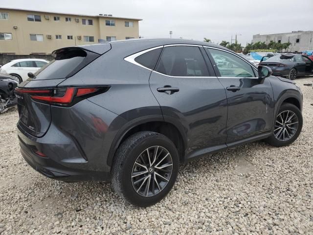 2024 Lexus NX 250 Base