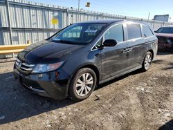 Salvage cars for sale from Copart Dyer, IN: 2016 Honda Odyssey EX