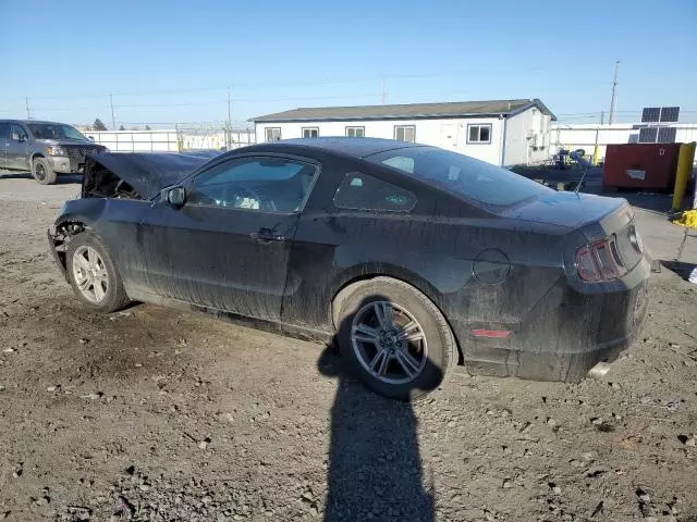 2014 Ford Mustang