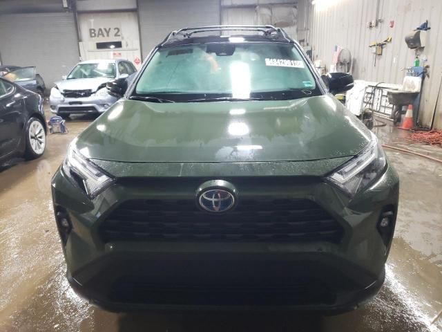 2024 Toyota Rav4 Woodland Edition