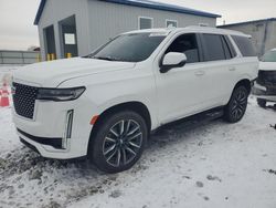 Salvage cars for sale at Barberton, OH auction: 2021 Cadillac Escalade Premium Luxury